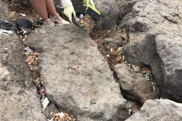 Limpieza de la escollera sur del muelle de Taliarte (Foto Pedro Martel/Wendy Cruz)